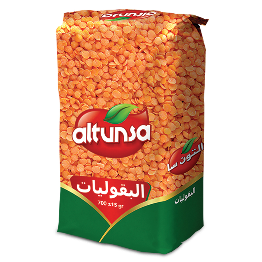Altunsa Web Site